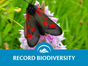 a view on the biodiversity and the variety of life Life on earth is wildly diverse, but the future of that diversity is now in question through environmentally destructive farming practices, ever-expanding energy use, and the development and homogenization of land, human beings are responsible for unprecedented reductions in the variety of life forms around us. a view on the biodiversity and the variety of life Life on earth is wildly diverse, but the future of that diversity is now in question through environmentally destructive farming practices, ever-expanding energy use, and the development and homogenization of land, human beings are responsible for unprecedented reductions in the variety of life forms around us.