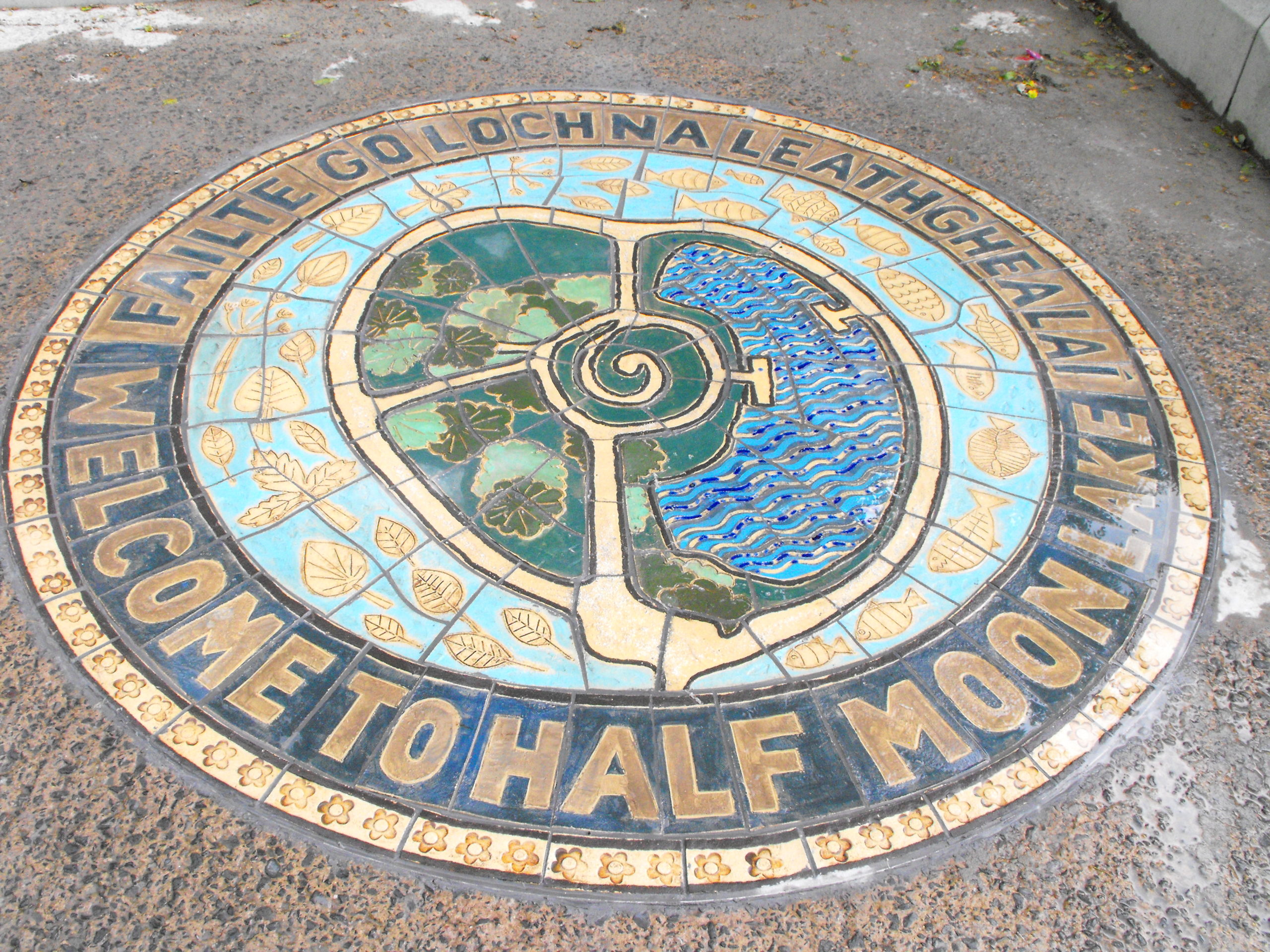 Award Winning Artwork for Half Moon Lake - Belfast Hills